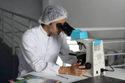 Nuevas infecciones de transmisión sexual Nuevas infecciones de transmisión sexual